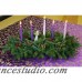 Worcester Wreath Faith Christmas Grace Advent 5 Candle Centerpiece WORW1040